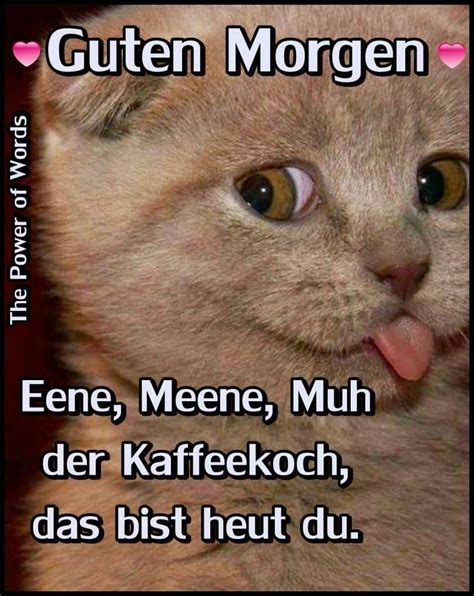 guten morgen witzig|guten morgen meme.